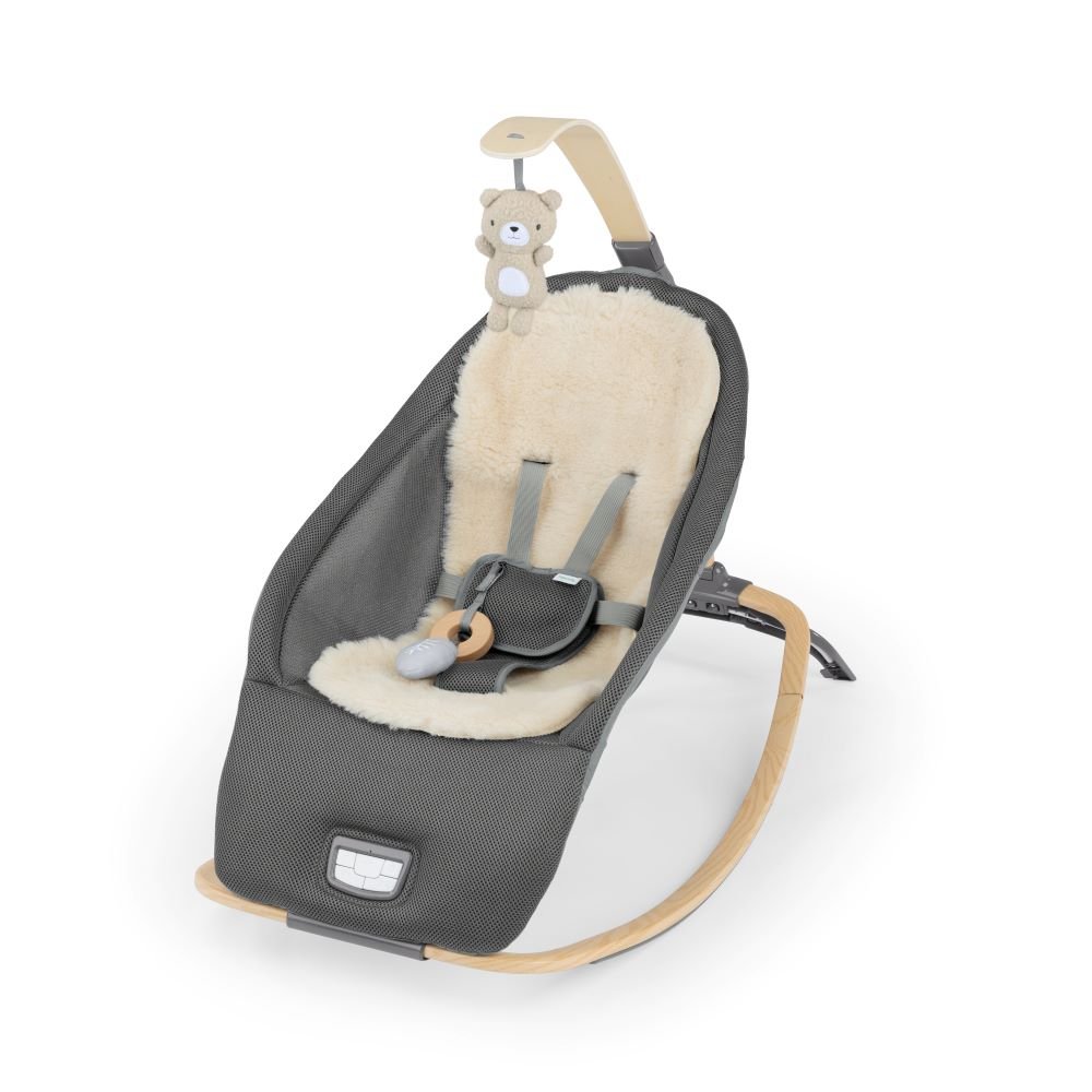 INGENUITY™EVERY SEASON ROCKING SEAT - WESLEY - Premium for Kids in Qatar | Toysaro.com